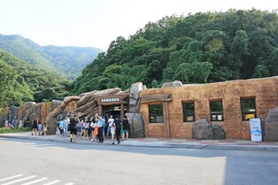 Boryeong city to operate 'half-day tour' during Boryeong Sea Mud Expo