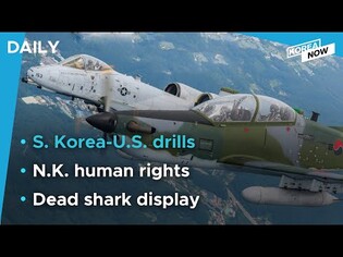 S. Korea-U.S. drills to focus on repelling NK attacks / Dead shark photo zone