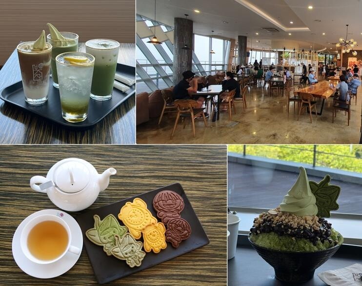 보성 차문화 멀티플렉스 '봇재' 핫플레이스로 떠올라