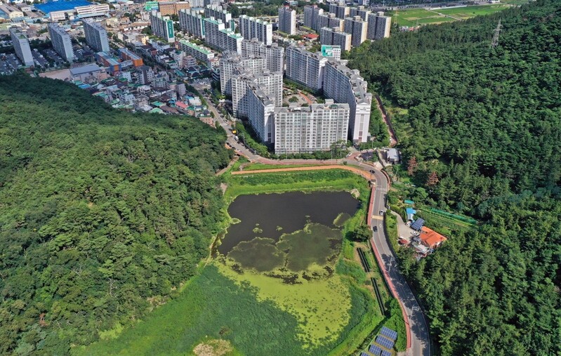 경주 도심 인근 저수지 19억원 들여 생태공원 조성