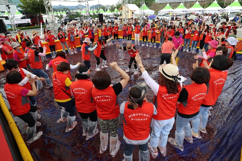 "새콤달콤 보랏빛 향연" 영동포도축제 25∼28일 열려