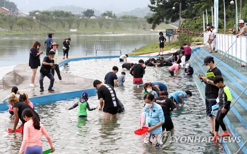 철원 화강 다슬기축제 성료…20만명 방문·경제 효과 80억원