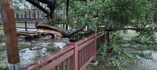Cultural Properties damaged due to torrential rain