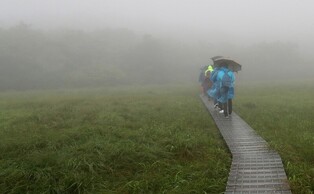 Mystery of Mountainous wetlands, Yong-neup in Daeamsan Mountain