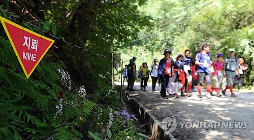 'DMZ 걷기 여행 떠나요' 강원 접경지역 테마 노선 내달 개방