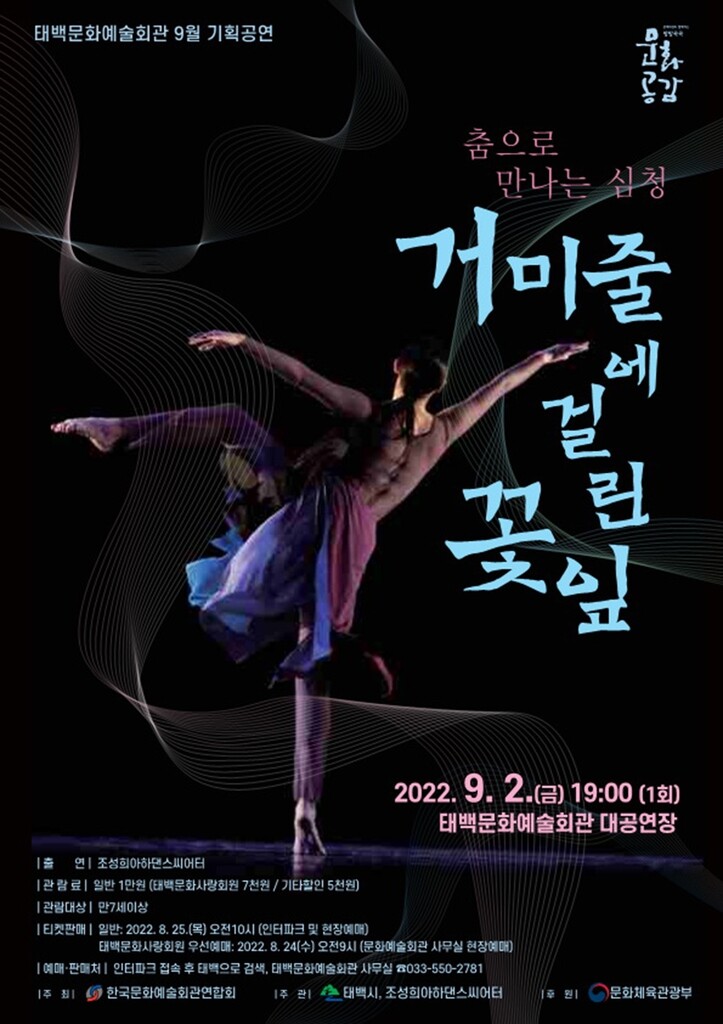 [태백소식] 문화예술회관, 기획공연 '거미줄에 걸린 꽃잎'