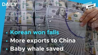 Korean won hits over 13-year low against U.S. dollar/ Beached baby whale returned to sea in Yeosu