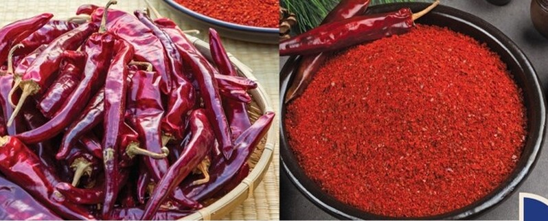 청양 고추축제 때 일반고추 600ｇ 1만6천500원에 판매