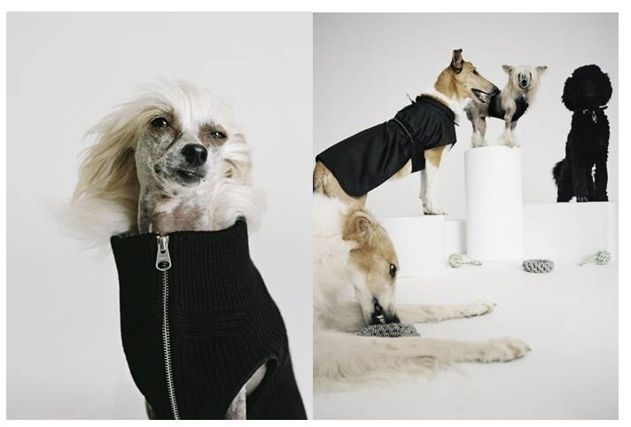 아르켓, 반려견 의류·액세서리 등 '도그 컬렉션' 출시