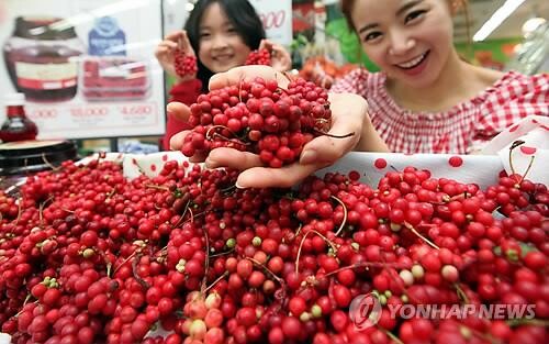 문경오미자축제 3년 만에 대면 행사 개최…9월 16일 개막