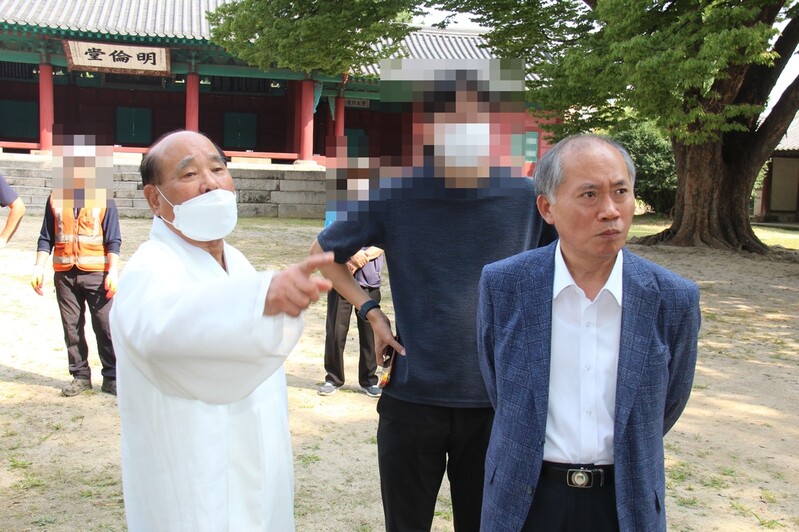 '수령 400년' 성균관 문묘 천연기념물 은행나무 또 훼손