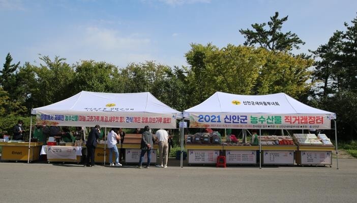 "신안 퍼플섬 구경하고 농·수산물도 사세요"