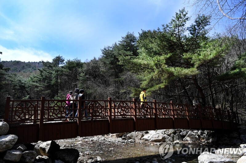 치악산 둘레길 걷으며 건강 챙기고, 역사·문화도 배운다