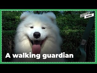 The Cutest Patrol You’ve Ever Seen