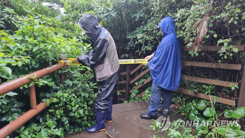[태풍 힌남노] 우면산·청계산 등 서울 일부 등산로 폐쇄(종합)