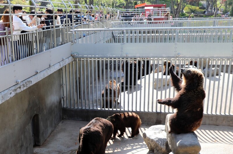 동물 먹이주기·전통놀이…세종 수목원 추석연휴 행사 다채