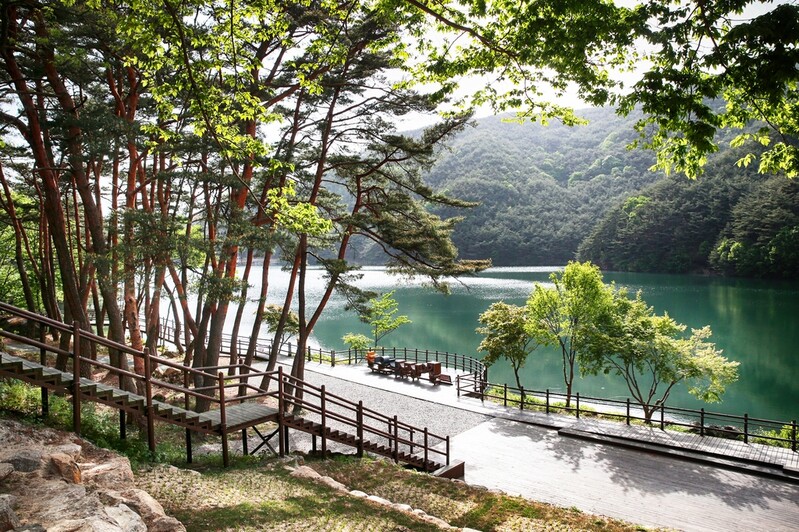 추석 연휴 전남지역 임도·숲길 3년 만에 개방