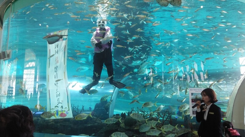 [게시판] 국립해양박물관, 추석 연휴 정상 운영