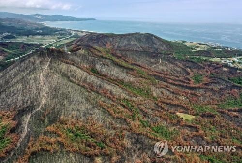 3년 만에 임도 개방…"추석 연휴 성묫길 산불 조심하세요"