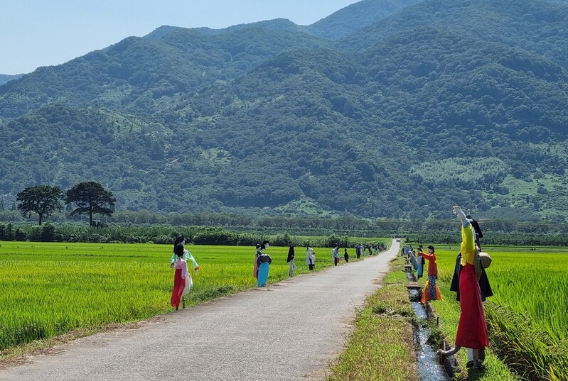 서희·길상 거닐던 하동 평사리 들판에 1천개 허수아비 눈길