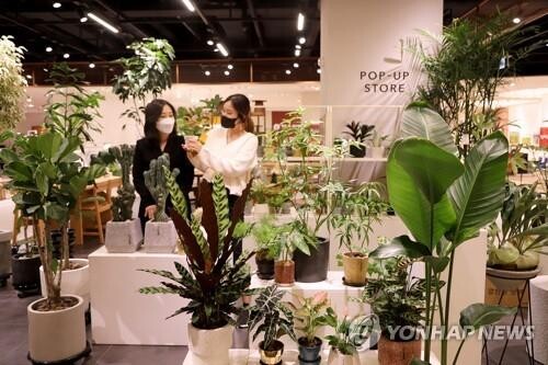 S. Korea's consumption of flowers grew over 6 pct in 2021 amid pandemic