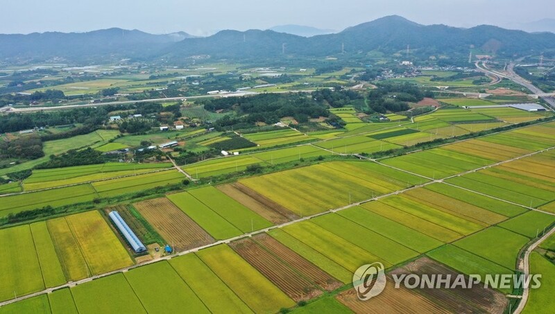 "피폐한 고향, 민생부터 챙겨야"…의원들이 본 광주·전남 민심