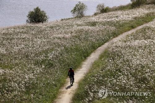 영산강·황룡강변 'Y 프로젝트' 시동…광주시, 용역 발주