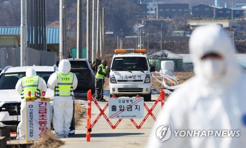 S. Korea to beef up bird flu quarantine measures ahead of winter