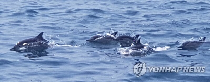 [통통 지역경제] 인기 드라마 덕 본 울산 고래마을…상권도 활기
