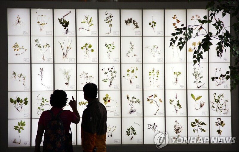 산청한방약초축제 30일 개막…'치유와 쉼' 주제 체험행사 풍성