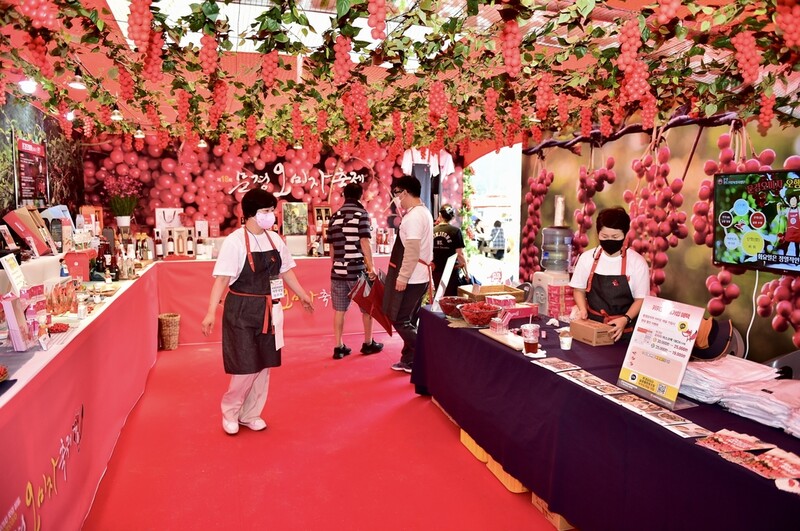 문경 오미자 축제 폐막…사흘간 6만명 관람·5억원 판매 수익