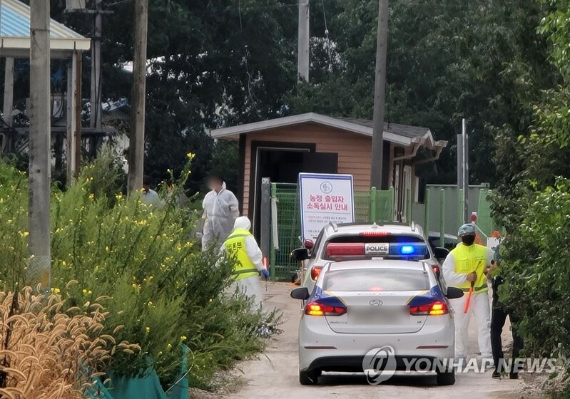 S. Korea reports new African swine fever case in about month