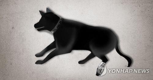 키우던 반려견에 불붙여 학대한 60대 송치