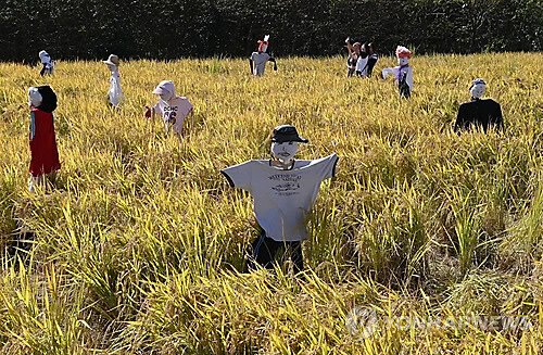 함평군, '국향 허수아비 만들기' 공모