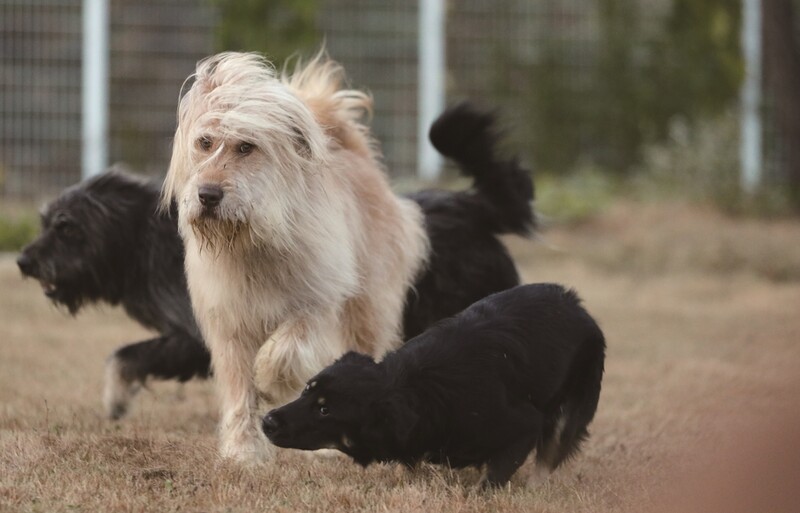 '퓰리처상 수상' 사진작가 강형원이 담아낸 한국의 아름다움