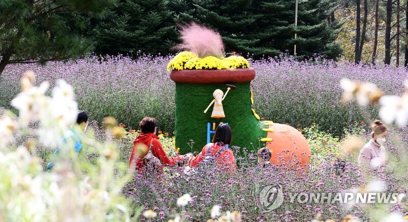 내설악 가을꽃의 향연…인제 용대리서 30일부터 꽃축제