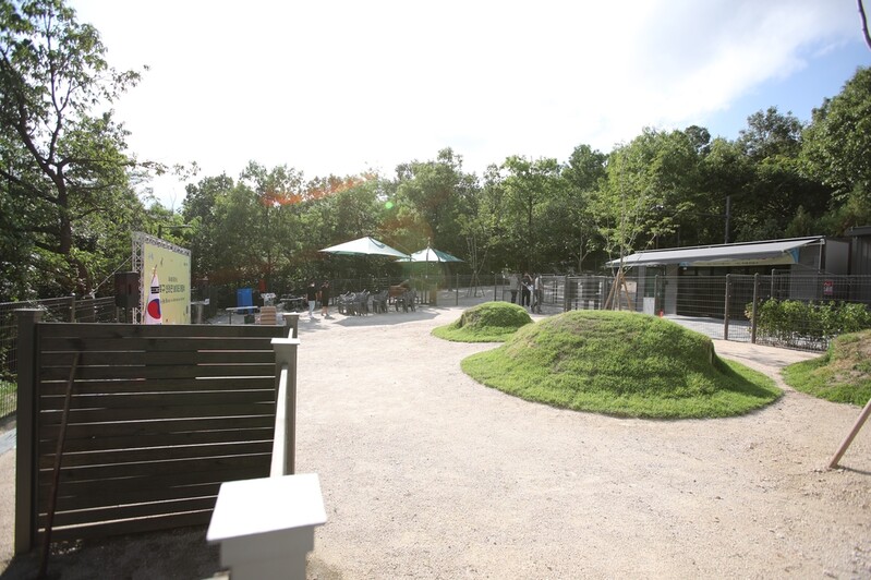 '댕댕이와 놀러오세요'…북서울꿈의숲 반려견 놀이터 개장