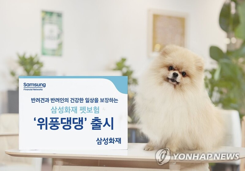 삼성화재, 반려견 펫보험 '위풍댕댕' 출시
