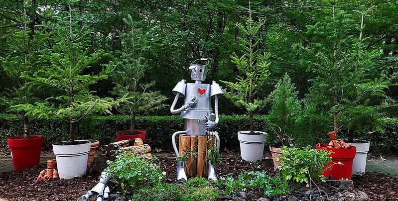 국립수목원, 관상용 '꼬리풀' 신품종 5종 개발