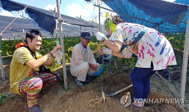 "가족건강 챙기세요" 제40회 금산인삼축제 30일 개막