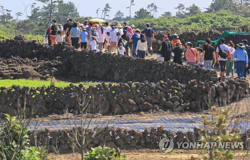 3년 만에 만나는 세계중요농업유산 '제주밭담축제' 30일 개막