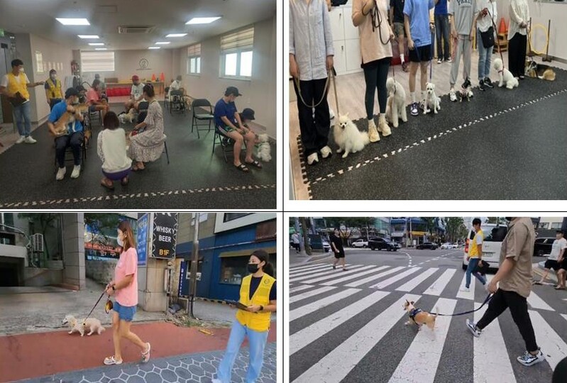 부산 반려견 순찰대 내달 발족식…남구·수영구서 시범운영