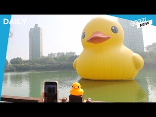 Rubber Duck project returns to Seoul after 8 years/S. Korea to end post-entry PCR test requirement