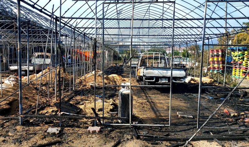 횡성한우축제장 인근 화재 원인 "불꽃놀이 폭죽 불씨 가능성 커"(종합)