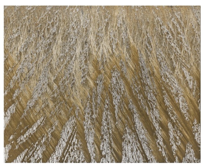 흘러내린 물줄기가 만든 자연의 형상…'흙의 작가' 채성필 전시