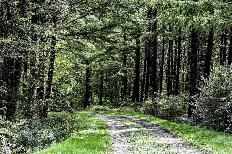 운탄고도 1330 첫걸음축제 8∼9일 태백서 열린다