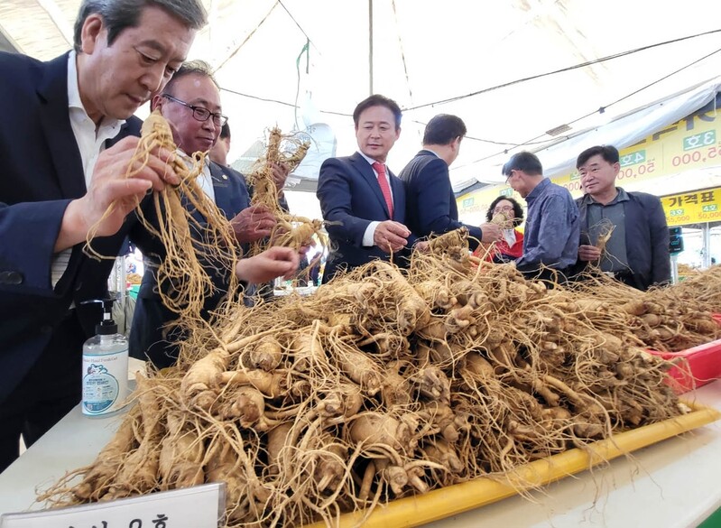 강원홍천 인삼·한우 명품축제 매출 11억8천만원 성과