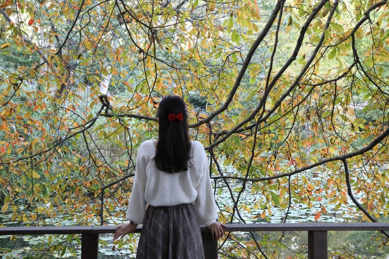 태안 천리포수목원, 한글날 연휴 다양한 이벤트 마련