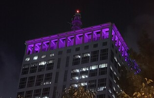 Busan to illuminate in purple in time for BTS' concert