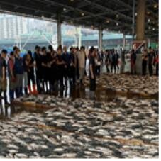 신선한 갈치·참조기 새벽배송…해수부·목포수협·쿠팡 손잡아